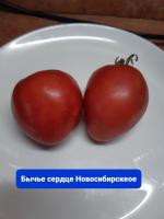 Бычье сердце Новосибирское (в пакете 5 семян)