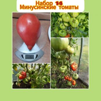 Набор семян 14 "Минусинские томаты"